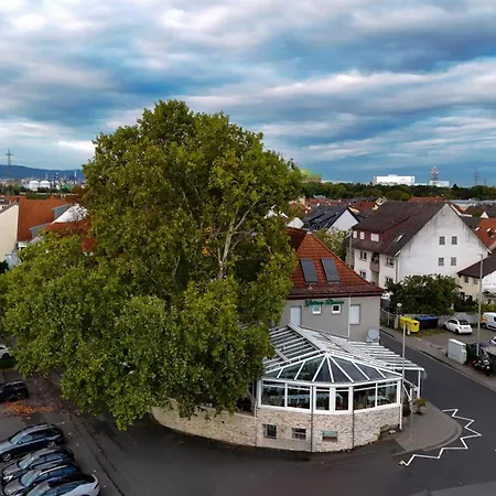Zum grünen Baum-3